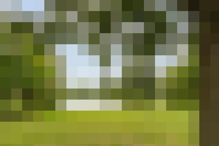  / #33