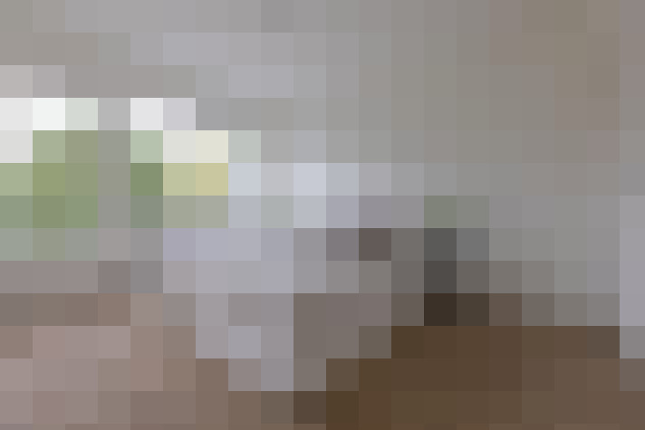  / #22