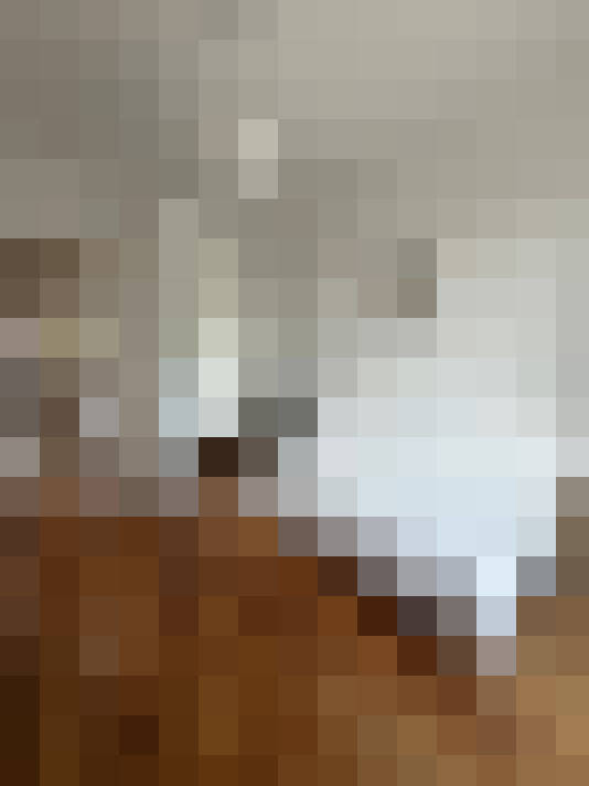  / #31