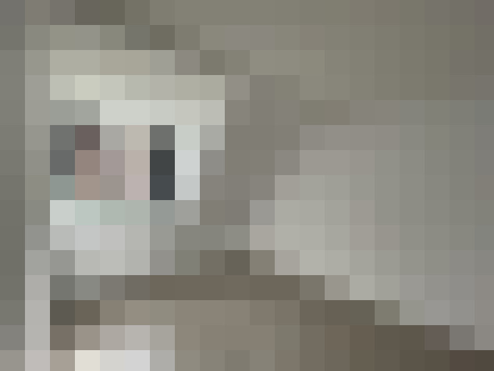  / #11