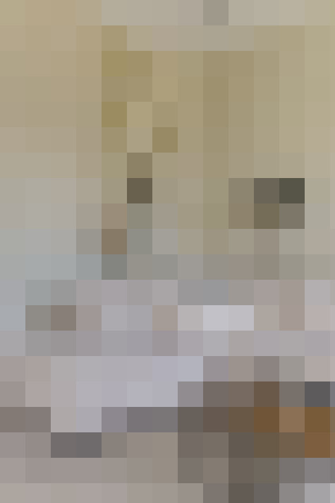  / #42