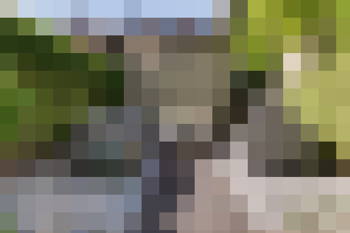  / #16