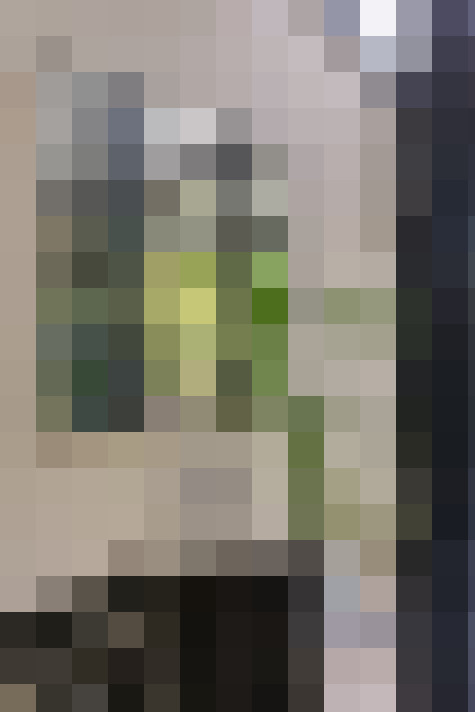  / #37
