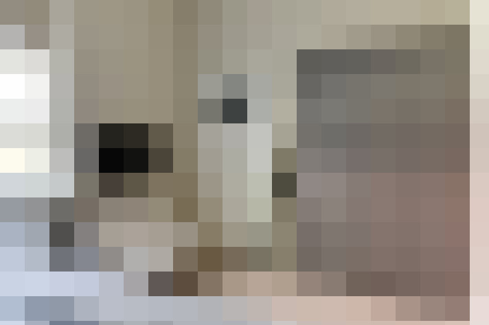  / #23