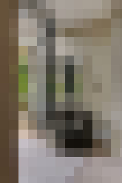  / #38