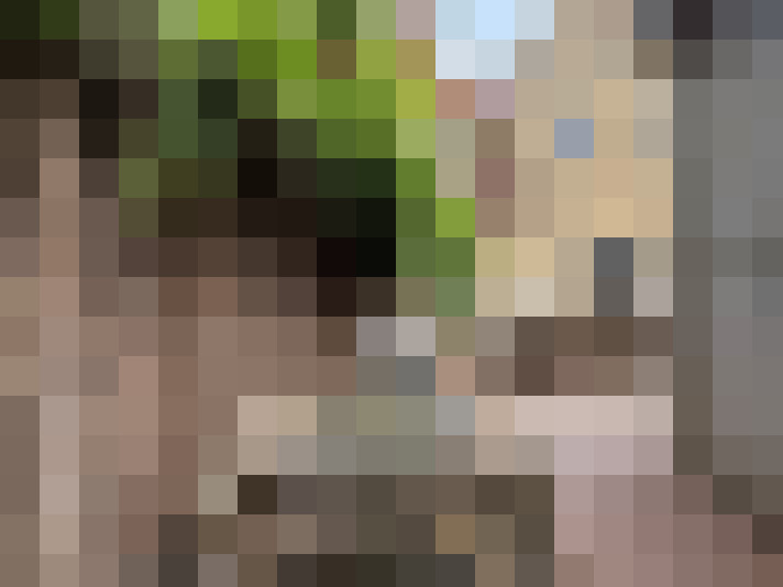  / #20