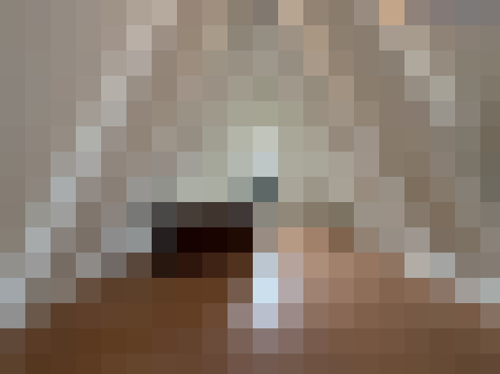  / #19