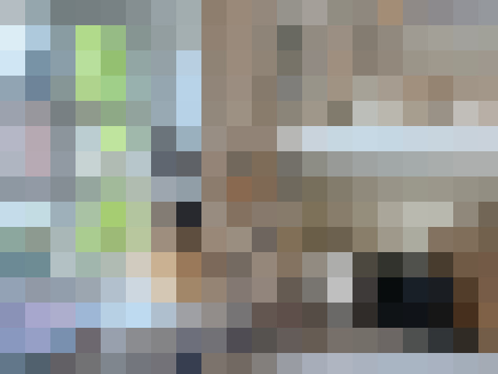  / #16