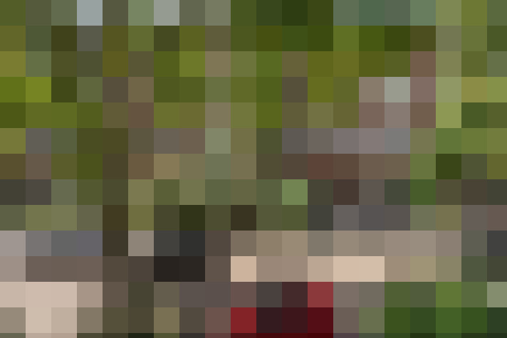  / #61