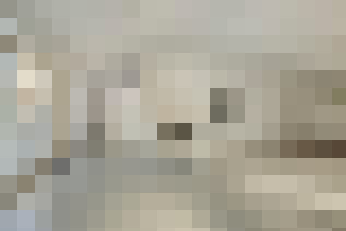  / #12