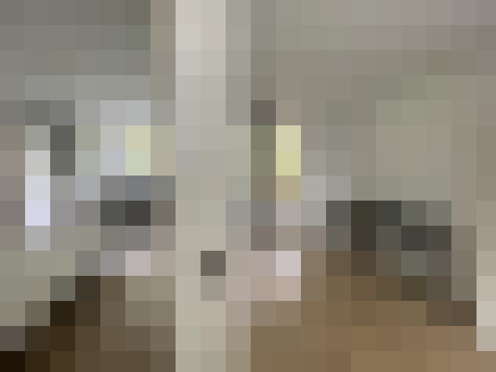  / #55