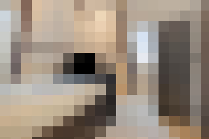 / #20