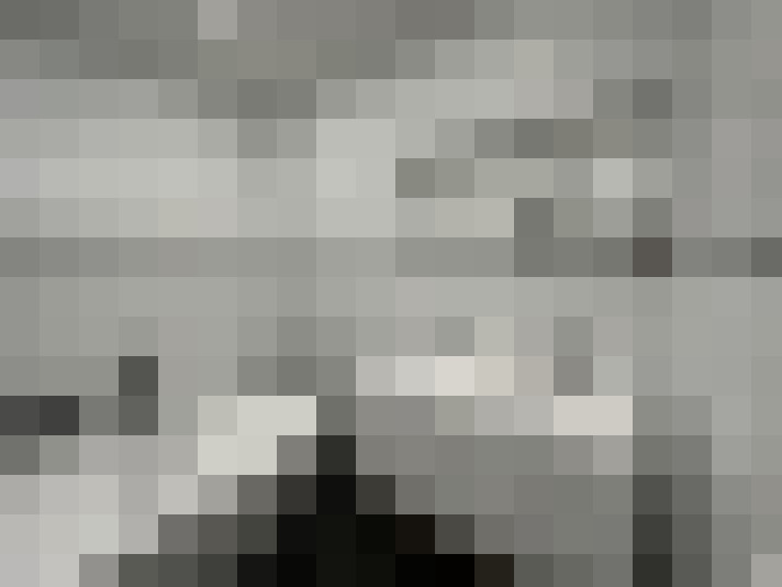  / #19