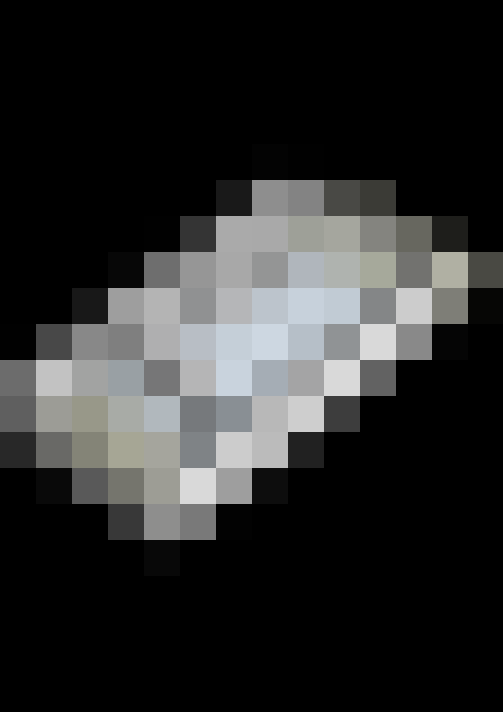  / #29