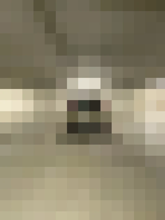  / #14