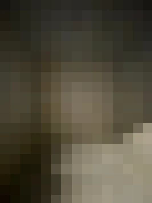 / #15