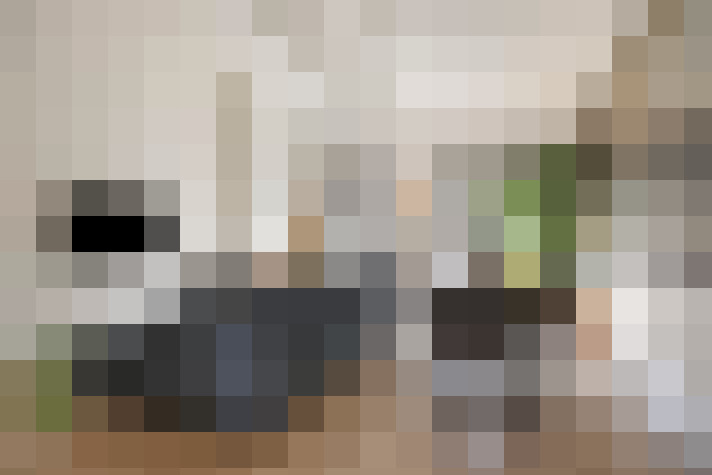  / #13