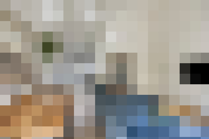  / #15