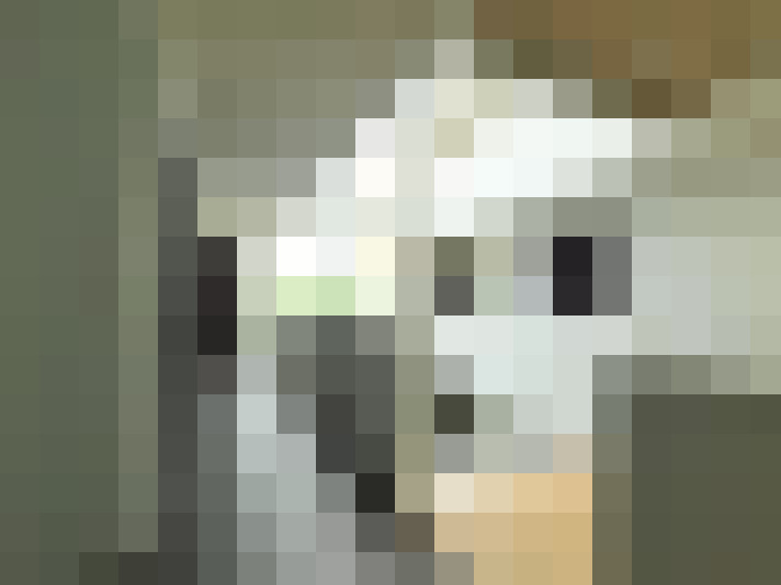  / #18