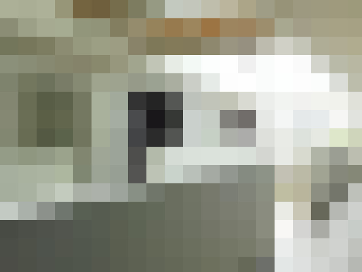  / #19