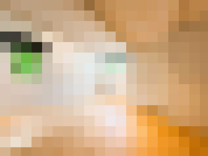  / #37