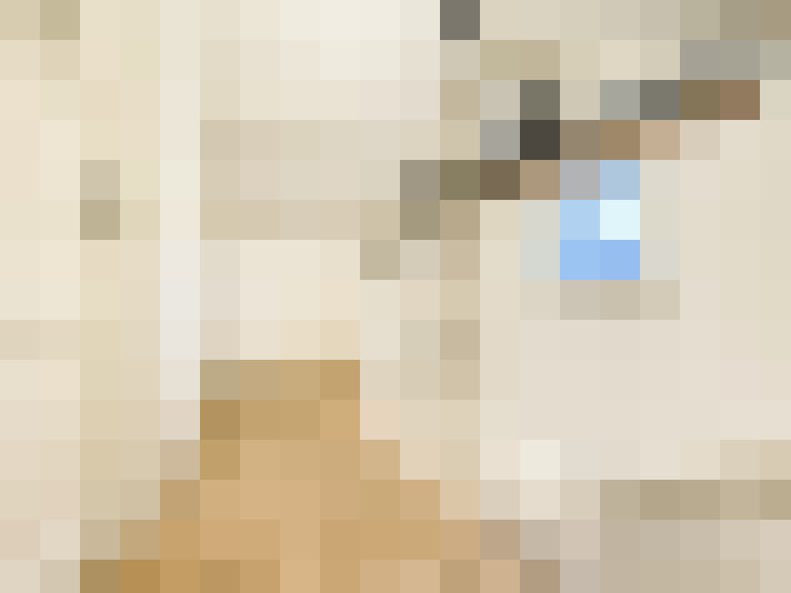  / #23