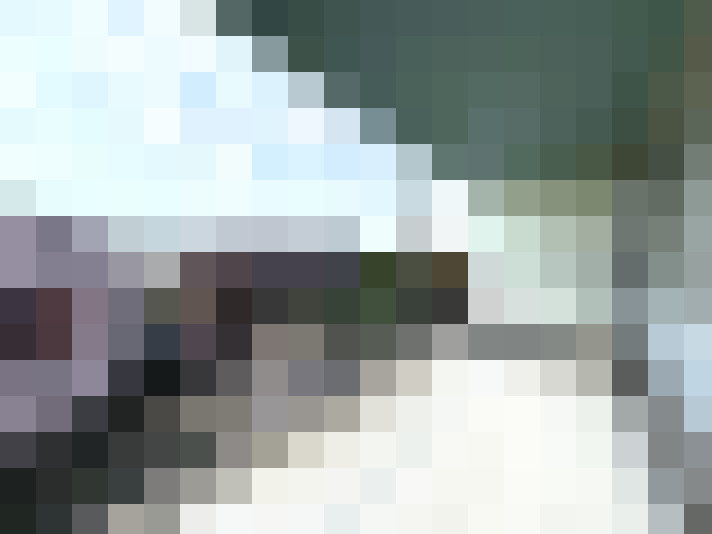  / #22