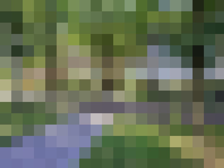  / #15