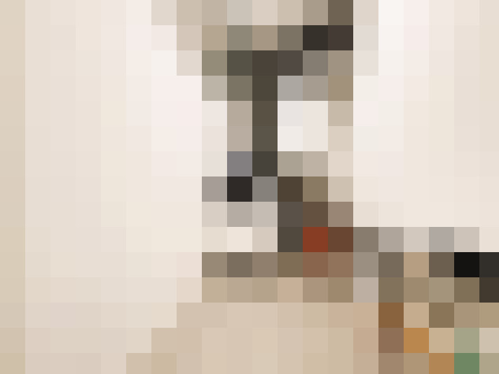  / #19