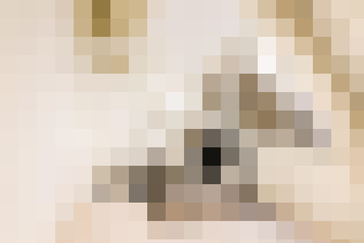  / #54