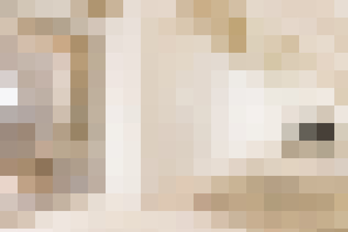  / #60