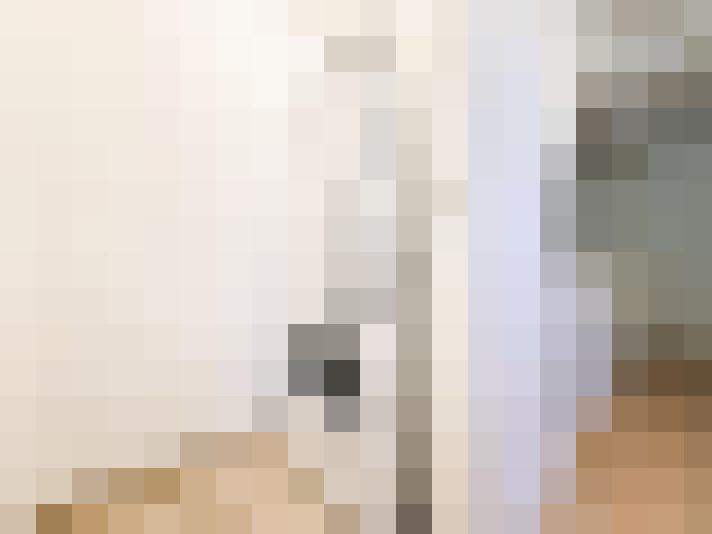 / #52