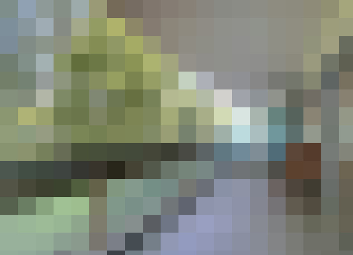  / #22