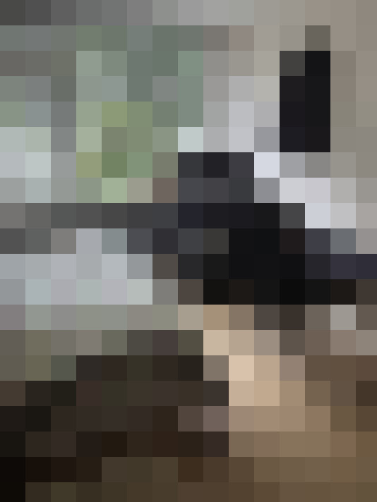  / #23