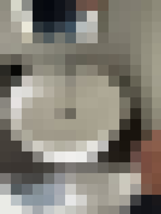  / #11