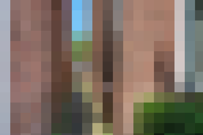  / #20