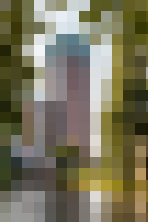 / #17