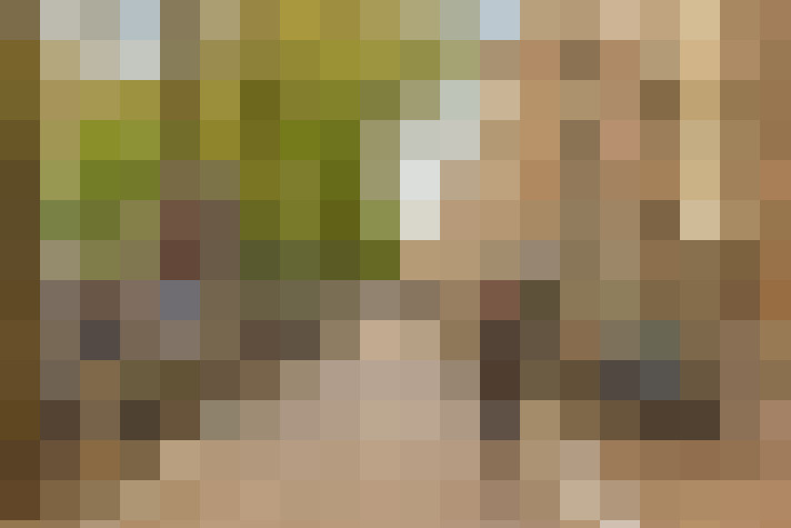  / #19