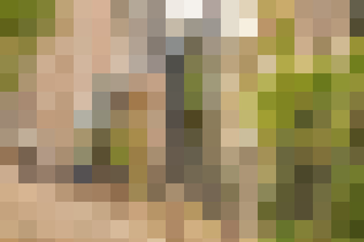  / #16