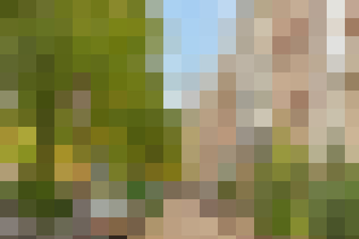  / #14