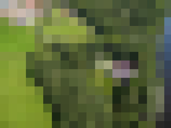  / #7