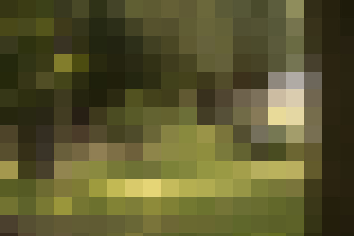  / #51
