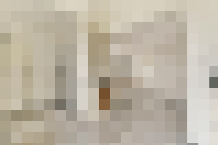  / #22