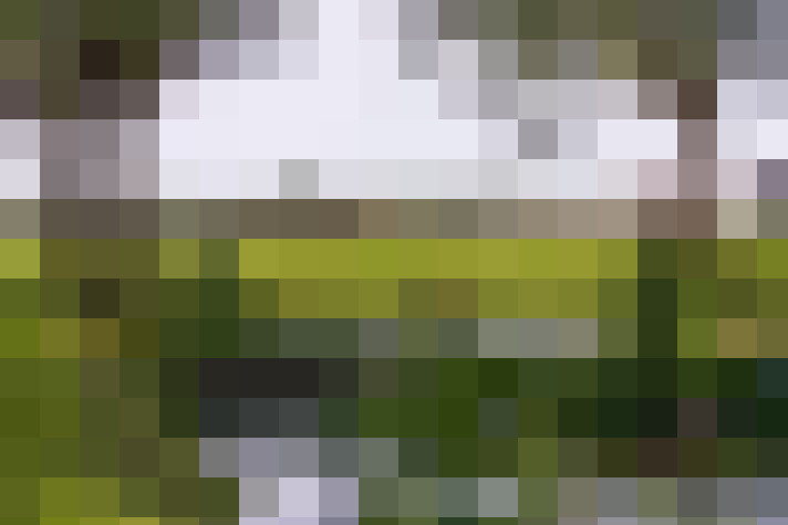  / #50