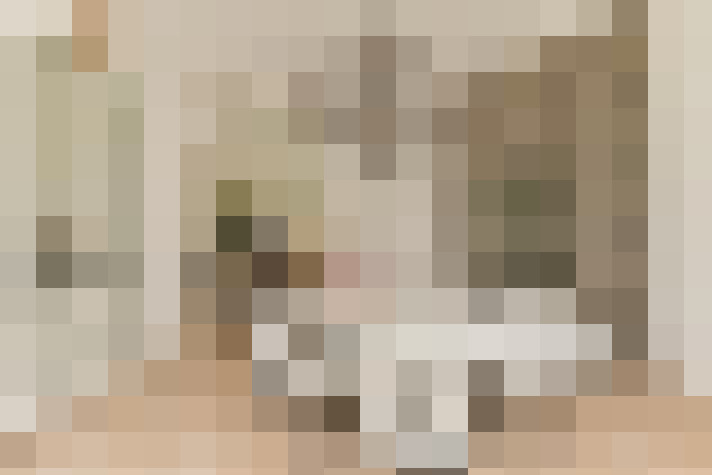  / #20