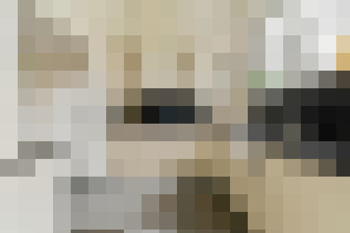  / #26