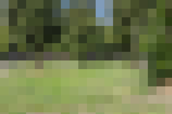  / #64