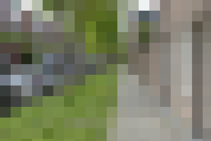  / #17