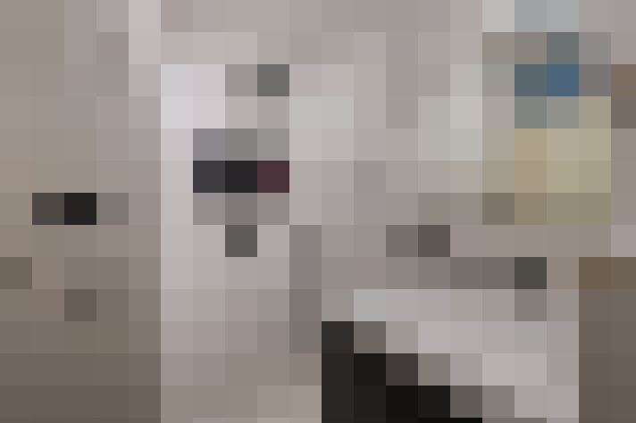  / #14