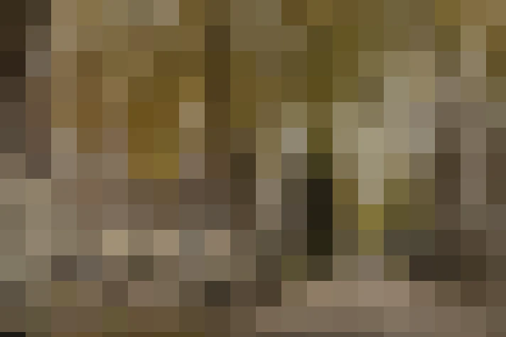  / #29